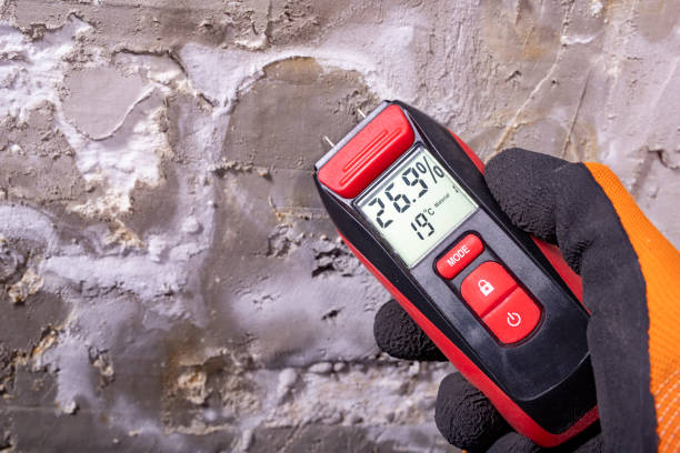 Best Mold Remediation for Schools in Blakely, GA