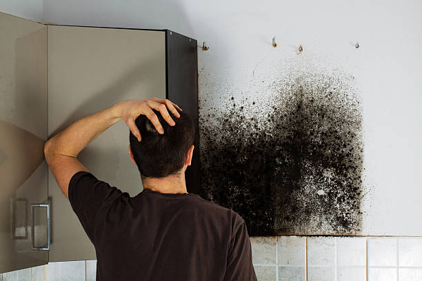 Trusted Blakely, GA Mold Remediation Experts